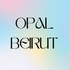 Translation missing: en.Opal Beirut accessibility.home